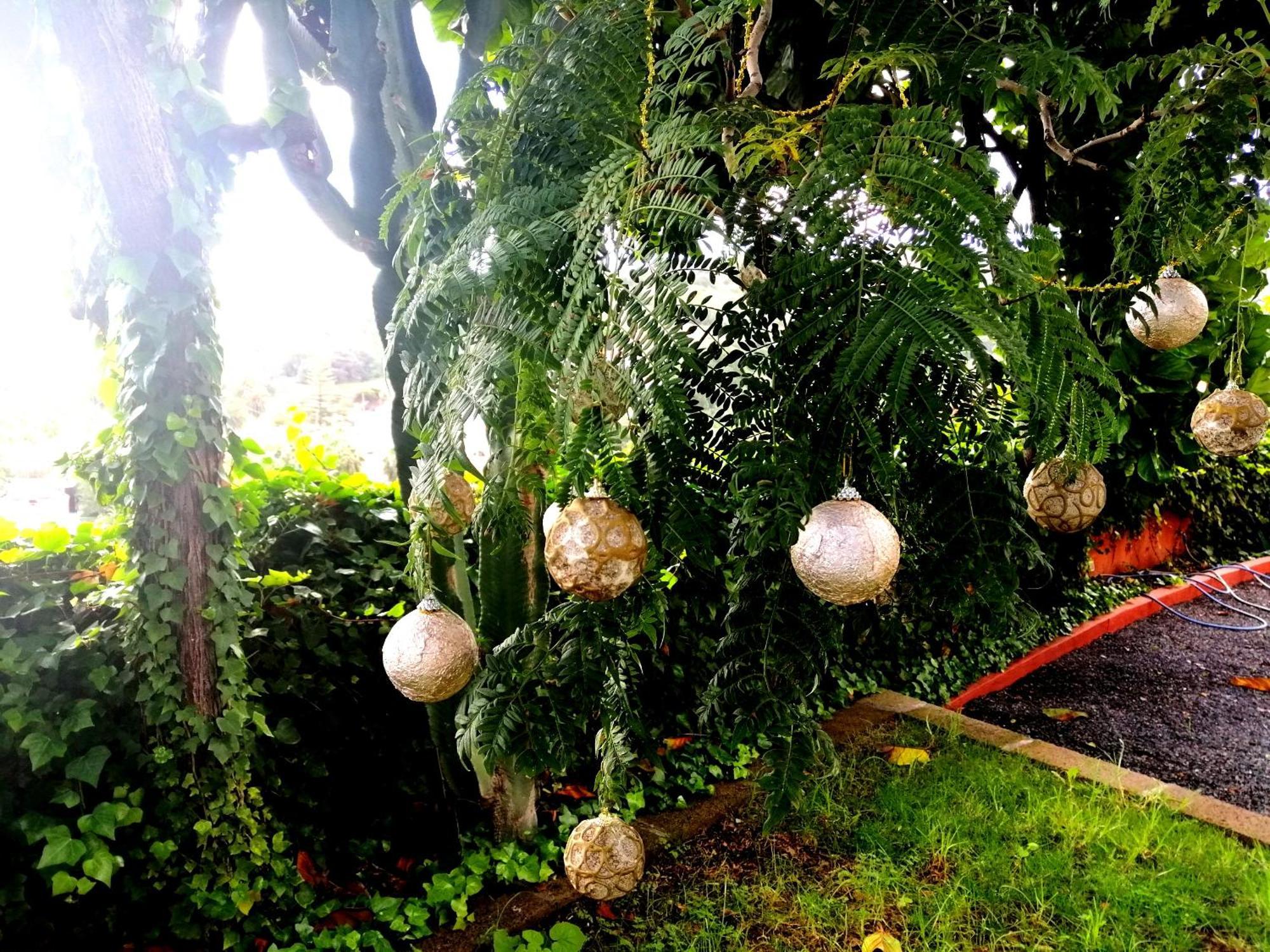 Apartamento Lemmon Tree Santa Brigida  Room photo